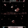 Asteroid Field (DS)