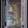 Endor: Rebel Landing Site (Forest)