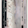 Hoth: Defensive Perimeter (DS, WB, Japanese)