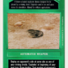Timer Mine (DS, WB)